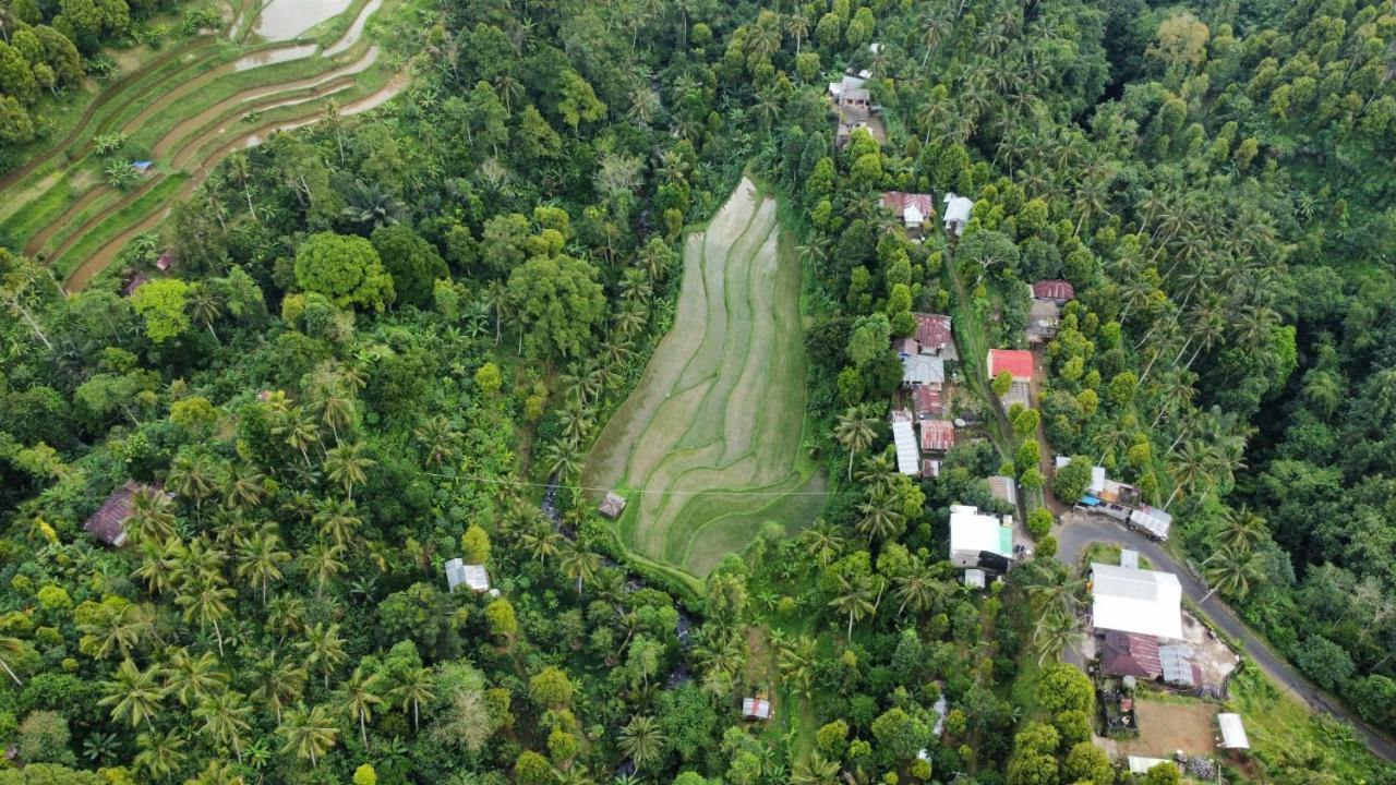 Ananda Homestay Lemukih Singaraja  Bagian luar foto