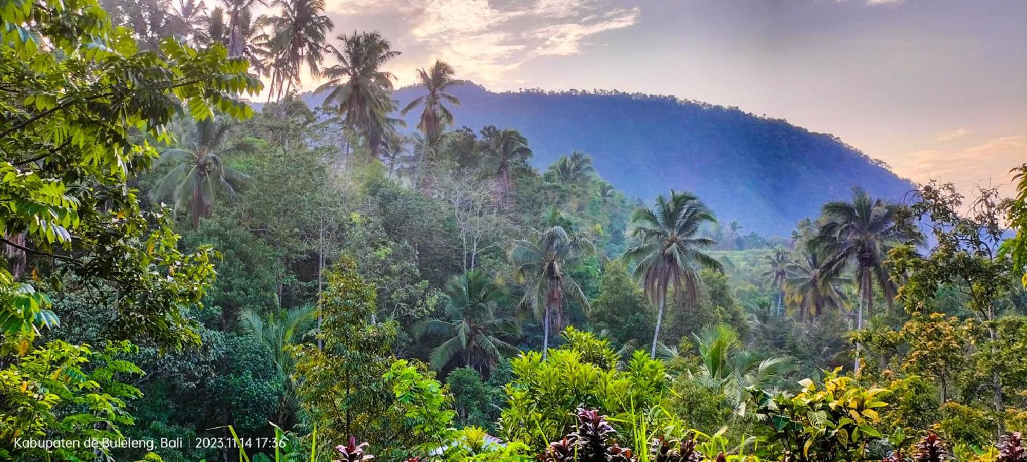 Ananda Homestay Lemukih Singaraja  Bagian luar foto