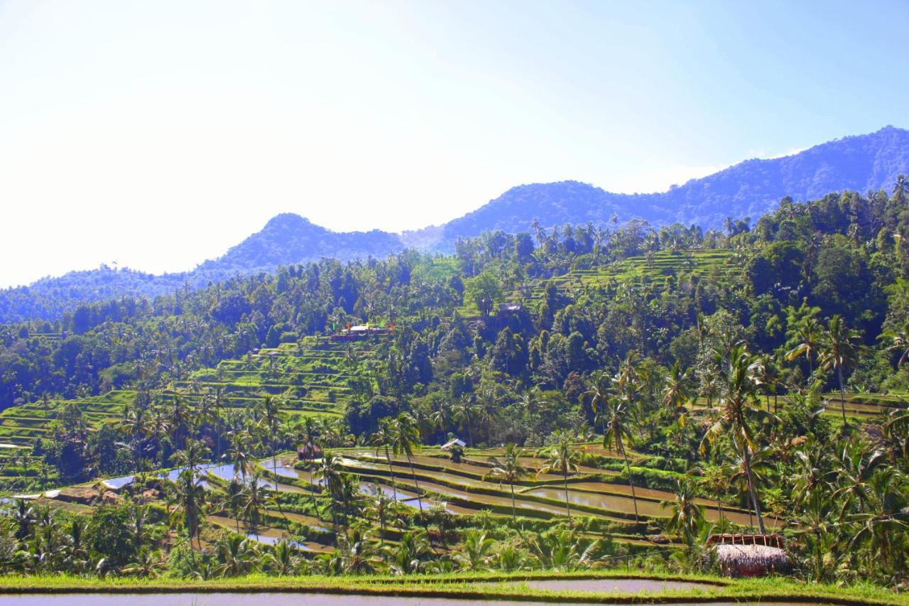 Ananda Homestay Lemukih Singaraja  Bagian luar foto
