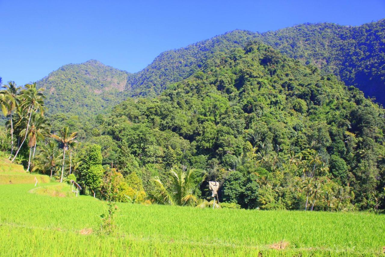 Ananda Homestay Lemukih Singaraja  Bagian luar foto